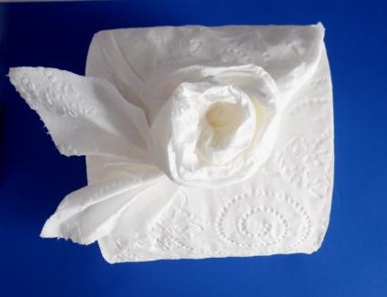 оригами из туалетной бумаги, как сделать оригами из туалетной бумаги, роза оригами из туалетной бумаги, туалетная бумага, интерьерное украшение из туалетной бумаги, как украсить туалетную бумагу, оригами, необычное оригами, сто можно сделать из туалетной бумаги своими руками, схема оригами из туалетной бумаги, как сложить фигурки из туалетной бумаги схемы пошагово, схемы оригами, схемы фигурок из бумаги, Оригами «Птица» из туалетной бумаги, Оригами «Ёлка» из туалетной бумаги, Оригами «Бабочка» из туалетной бумаги, Оригами «Плиссе» из туалетной бумаги, Оригами » Сердце» из туалетной бумаги, Оригами «Кристалл» из туалетной бумаги, Классический Треугольник, как украсить туалетную комнату, красивая туалетная бумага, как украсить туалетную бумага, Оригами «Алмаз» из туалетной бумаги,Оригами «Веер» из туалетной бумаги,Оригами «Кораблик» из туалетной бумаги,Оригами «Корзинка» из туалетной бумаги,Оригами «Роза» из туалетной бумаги,