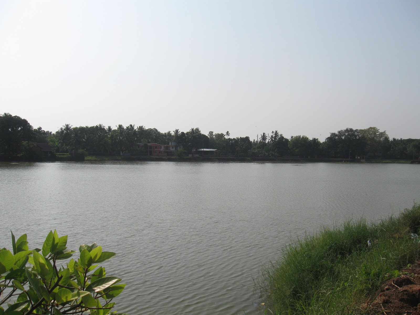 k4kannur Chirakkal Chira