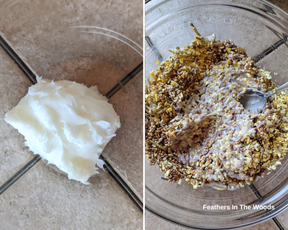 Simple bird suet recipe Feathers in the woods