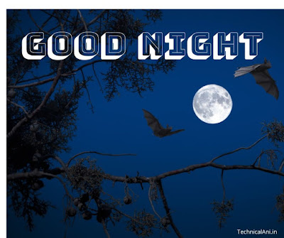 good night image to love good night image to love