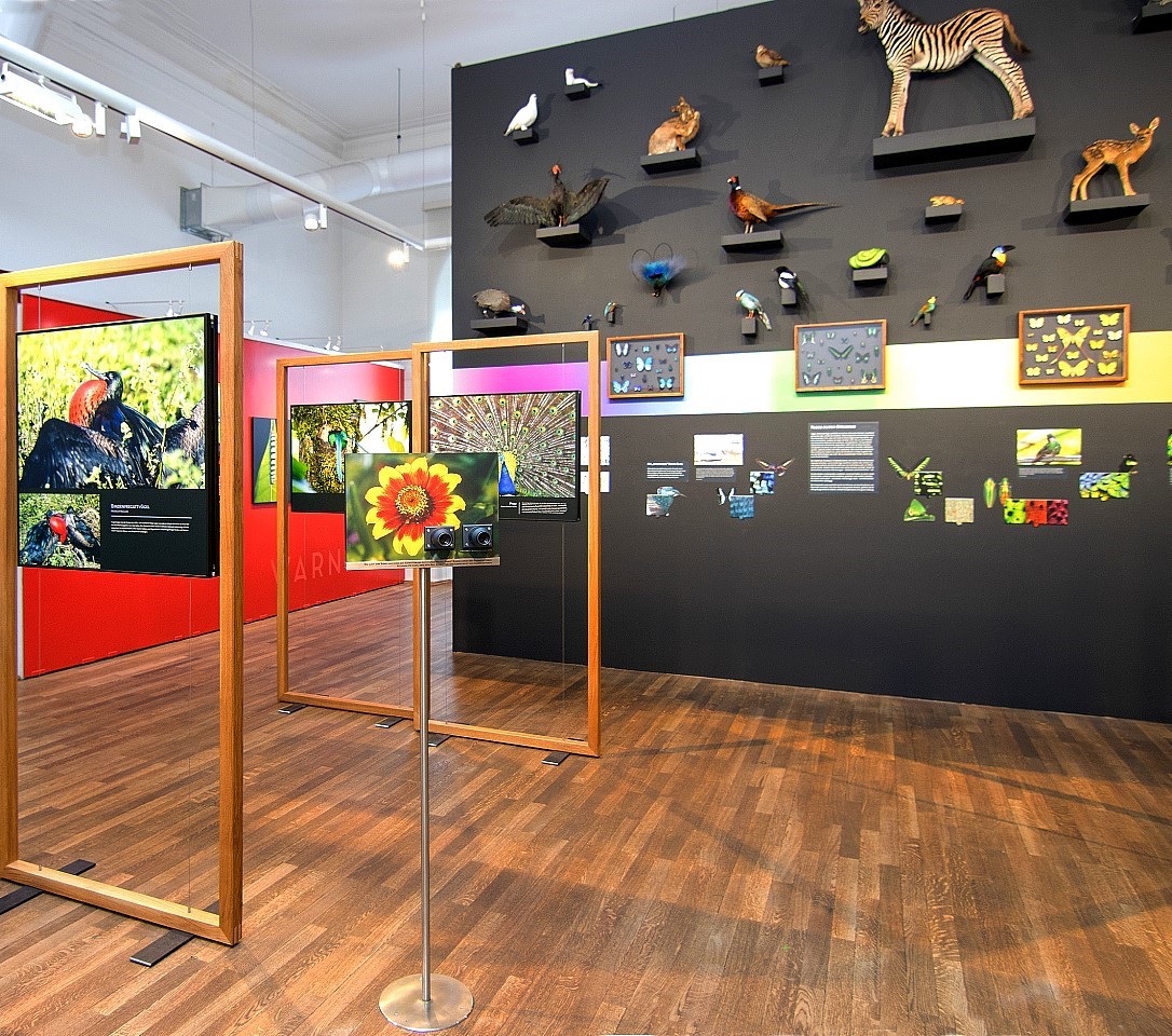 Museum Für Natur Und Umwelt Photography of the Invisible World: Exhibit at Museum Mensch und Natur