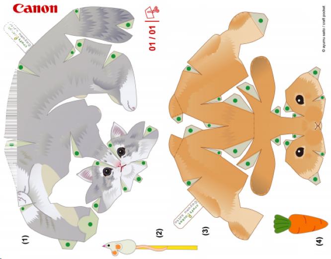 PAPERMAU Norwegian Forest Cat & Holland Lop Rabbit Miniature Paper