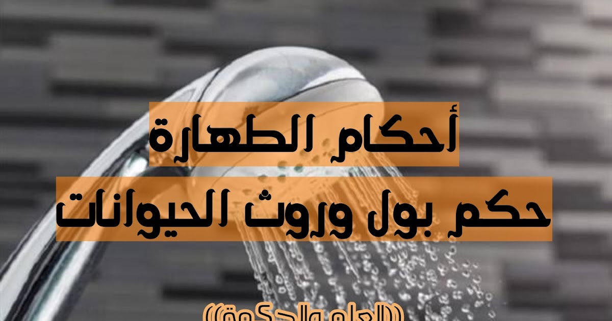 أحكام الطهارة والنجاسة حكم بول وروث الحيوانات
