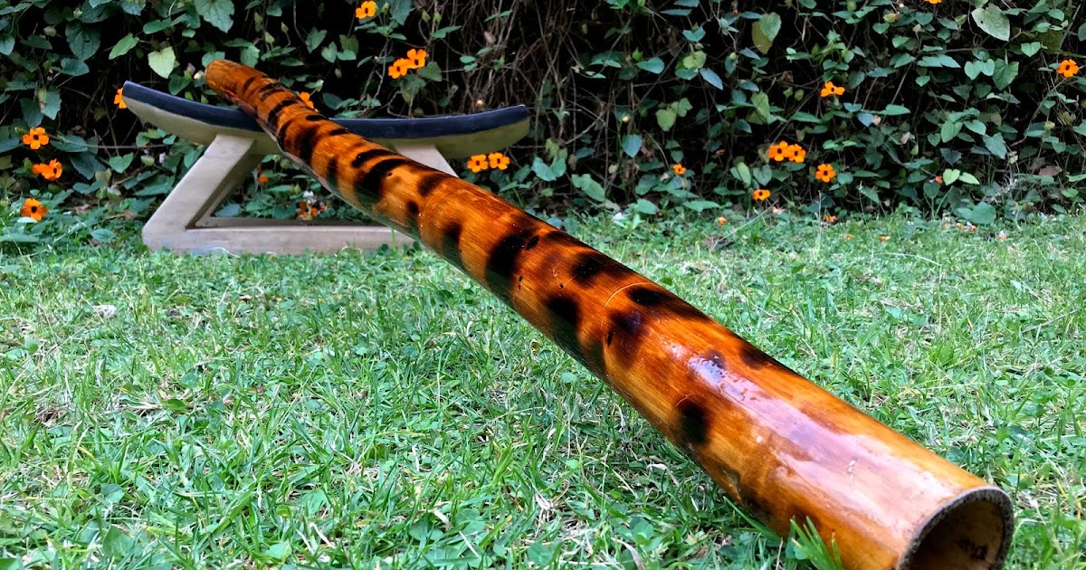 didgeridoo colombia didgeridoos disponibles