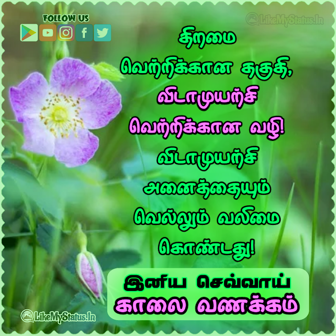 செவ்வாய் காலை வணக்கம் இமேஜ்