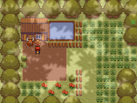Pokemon Gemme Screenshot 00