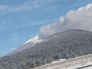 Costco Flagstaff