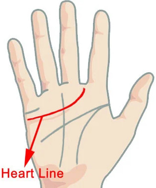Mengenal Kepribadian dengan Garis Tangan - SettiaBlog