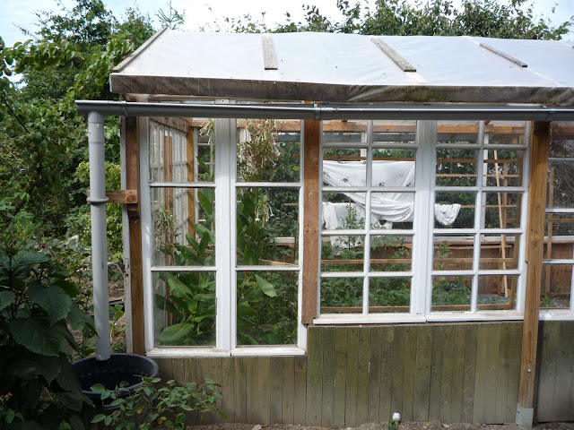free wood greenhouse plans