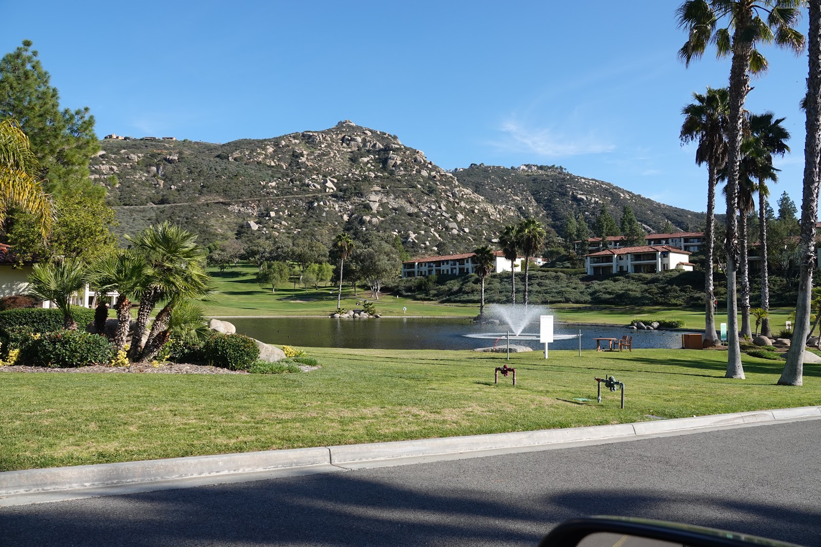 Looking for Ponds Escondido Hidden Meadows Fish