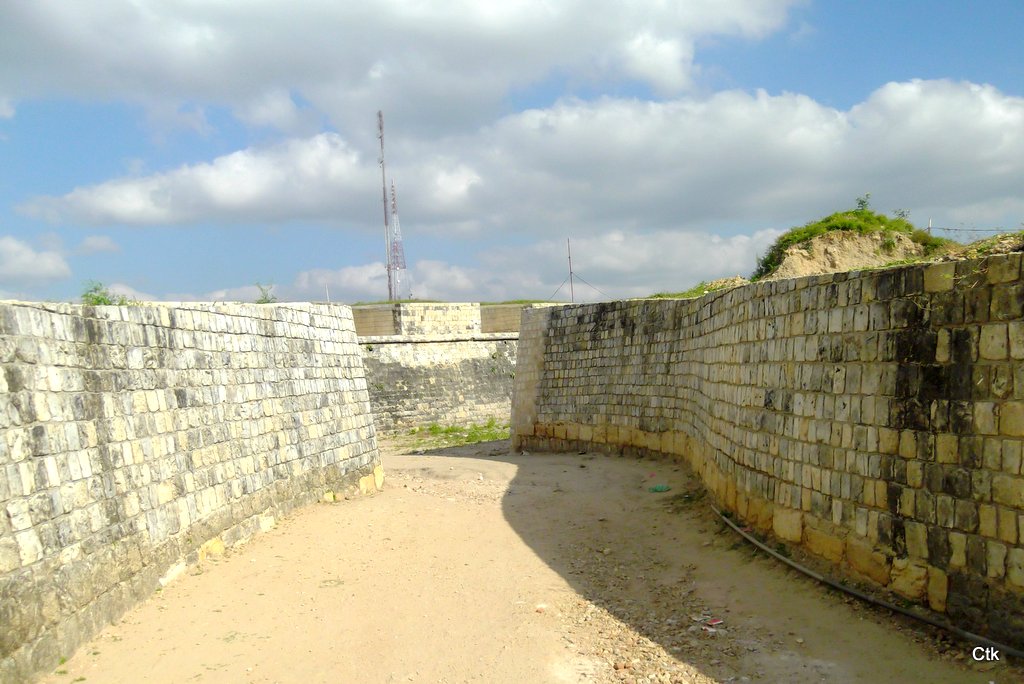 DSCF2750.JPG