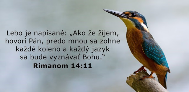 Lebo je napísané: „Ako že žijem, hovorí Pán, predo mnou sa zohne každé koleno a každý jazyk sa bude vyznávať Bohu.“