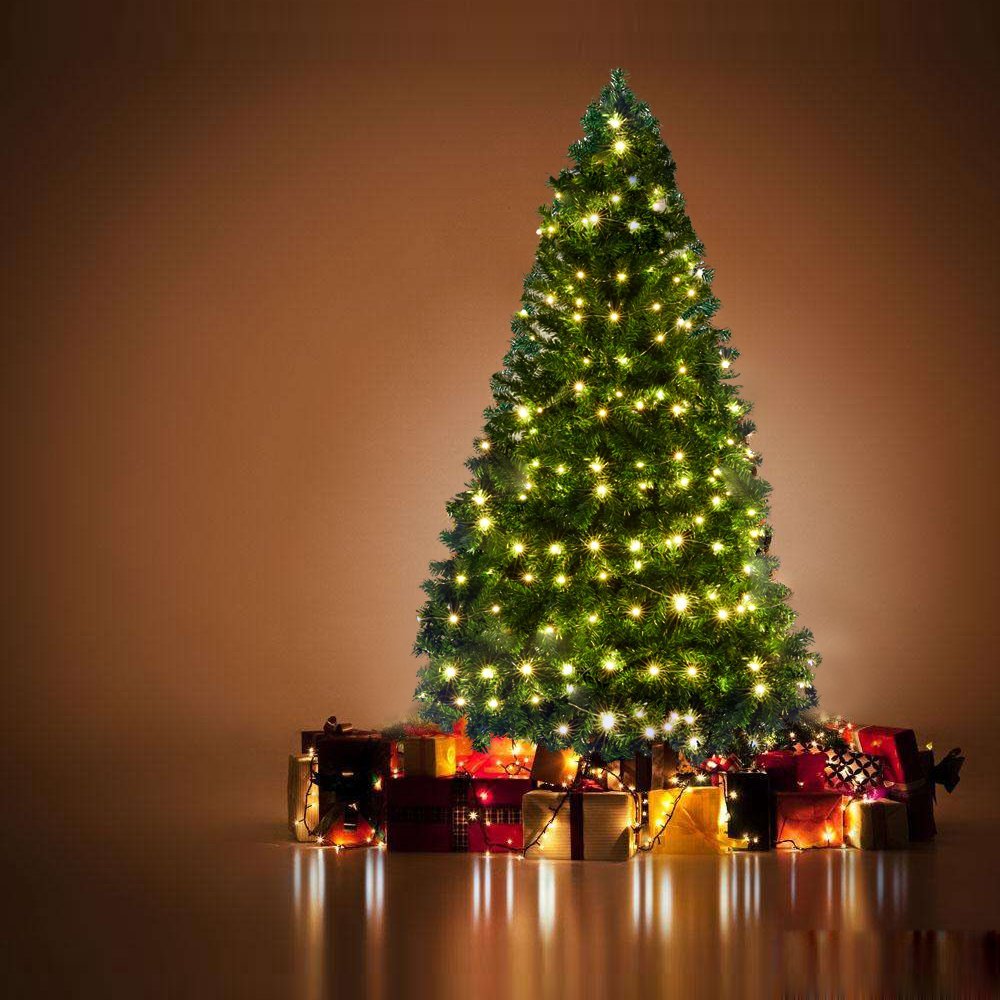 30 Best Christmas Tree You Can Buy From Amazon Holidays Blog For You