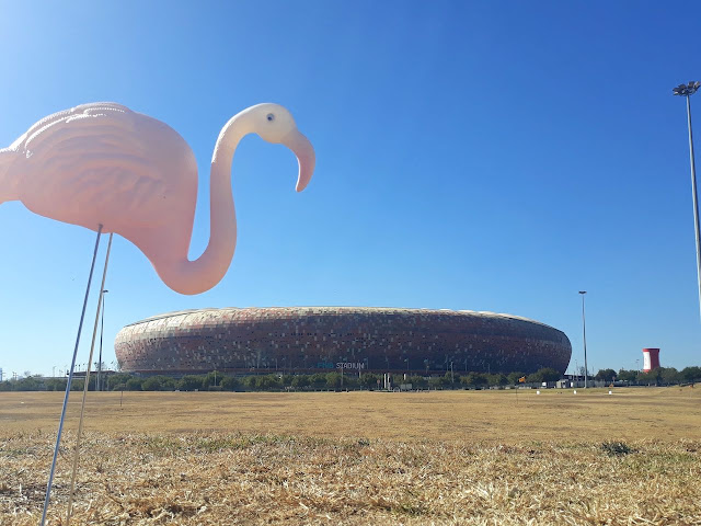 FNB Stadium and flamingo