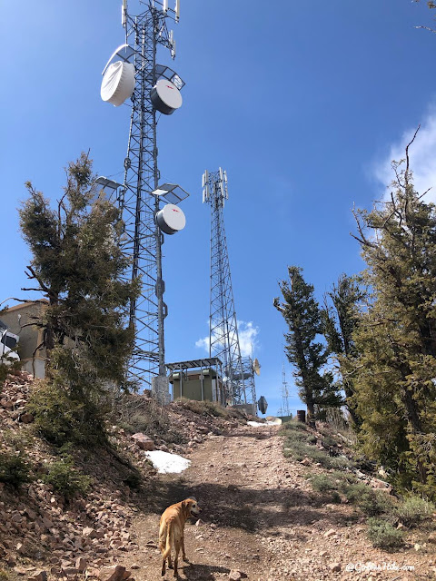 Hiking to Frisco Peak, Utah