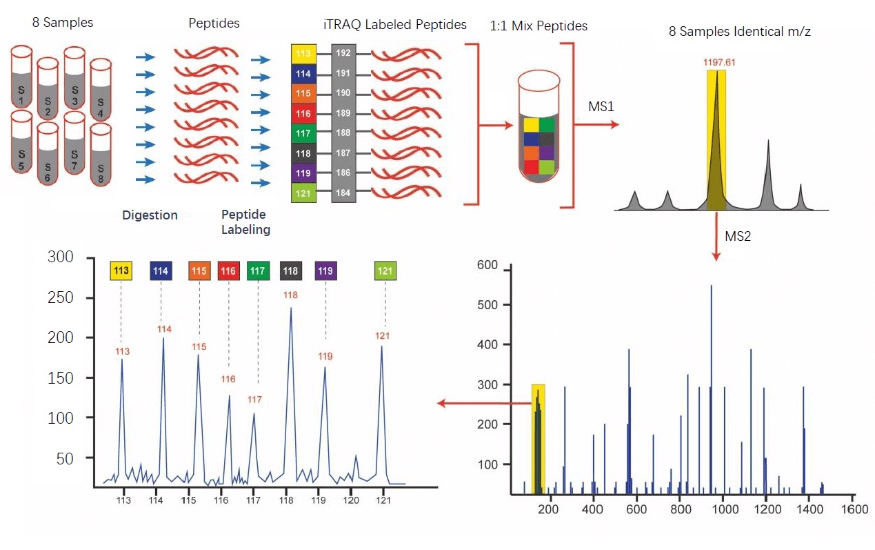 Techniques for Quantitative Proteomics