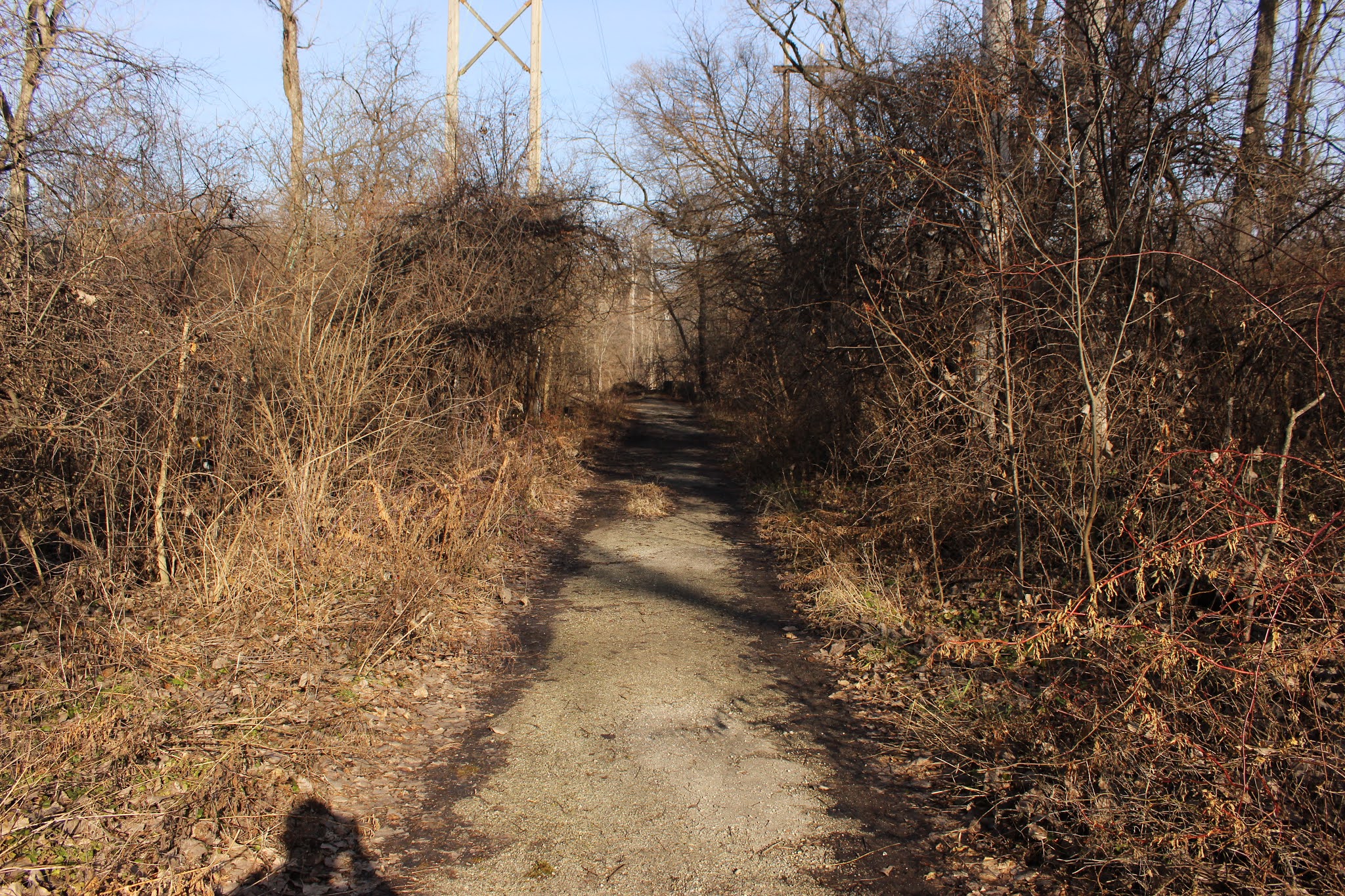 Archer Avenue History and Legends