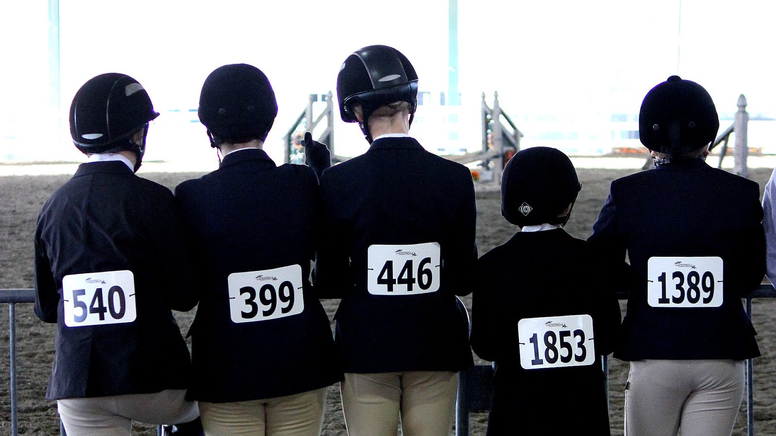 Equestrian at the 1996 Summer Olympics Horse Horse Choices