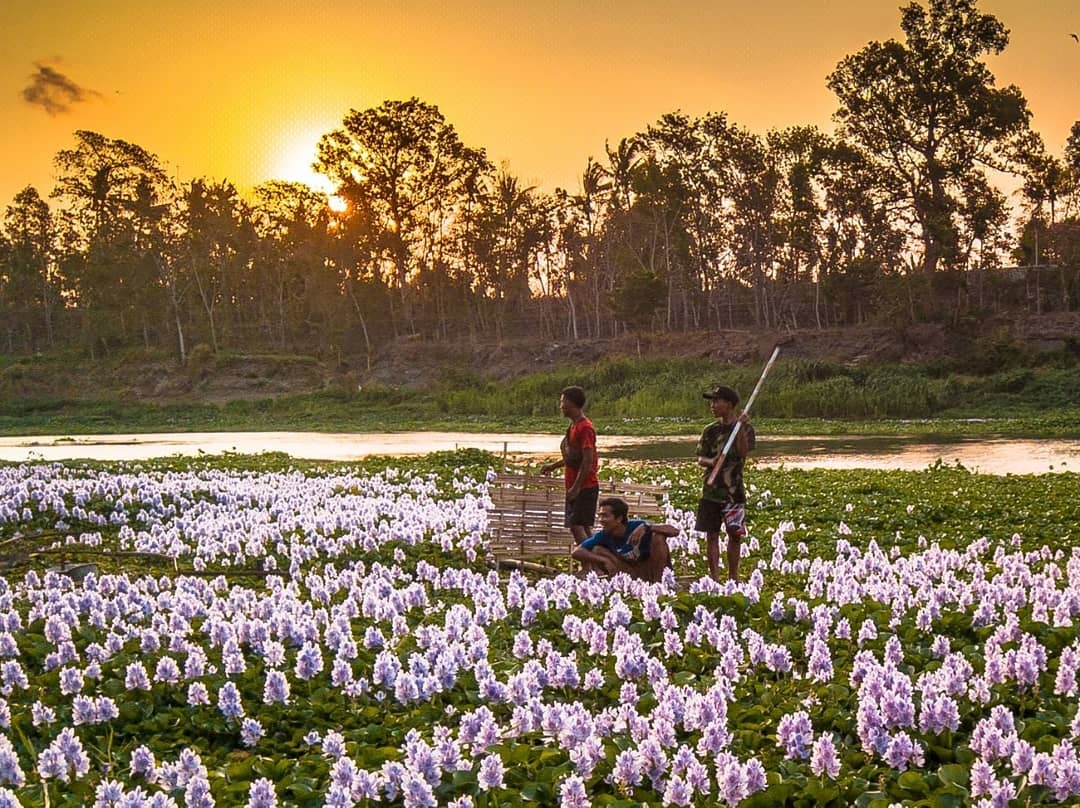 Harga Tiket Masuk dan Lokasi Kalinampu Natural Park Jogja Terbaru 2022