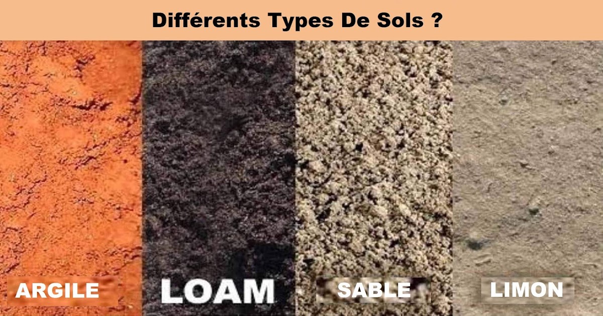 Différents Types De Sols ? Site spécialisé dans l'ingénierie civile