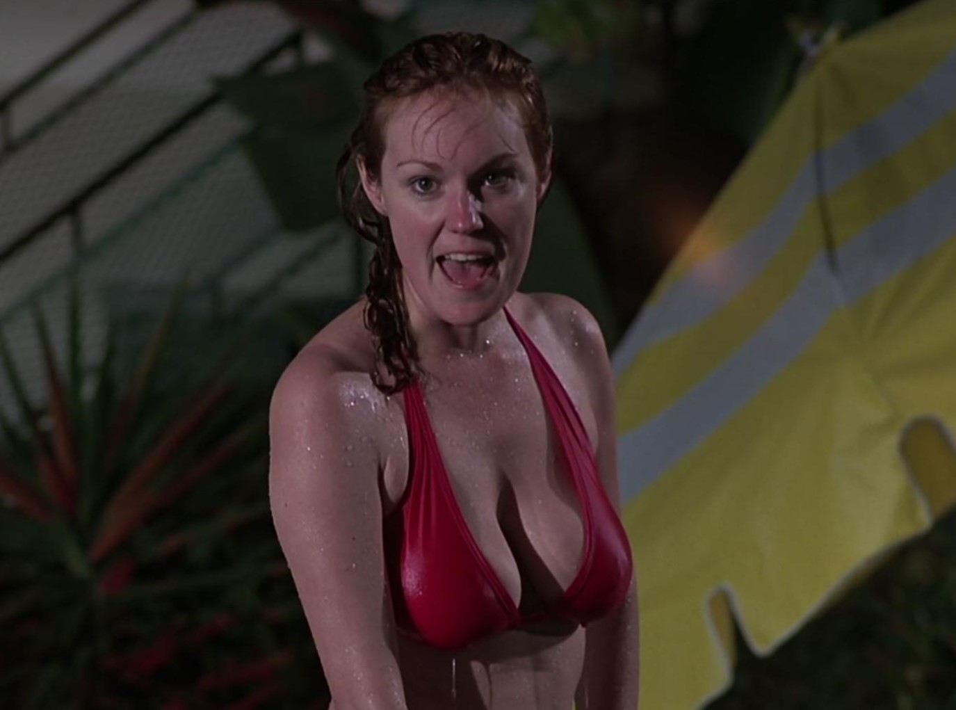 Happy Birthday Barbara Rhoades! 