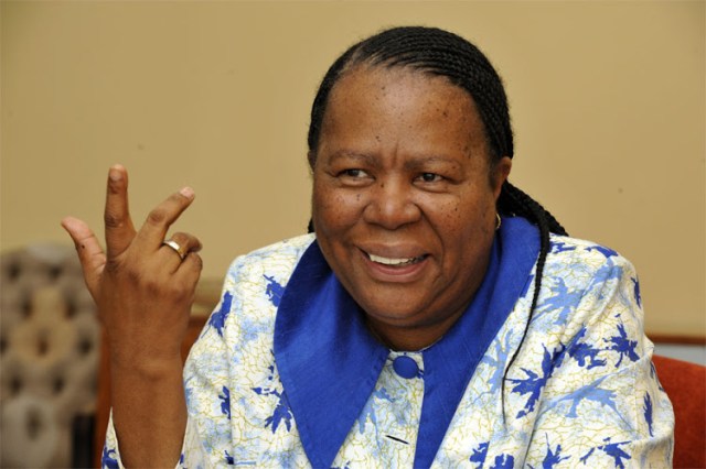 Naledi Pandor admits SA’s borders are too soft