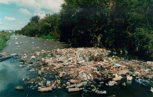 Resultado de imagem para natureza destruida