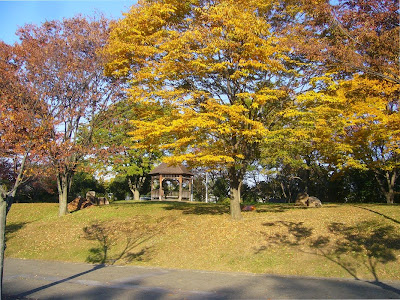 寝屋川公園 紅葉ウォーキング