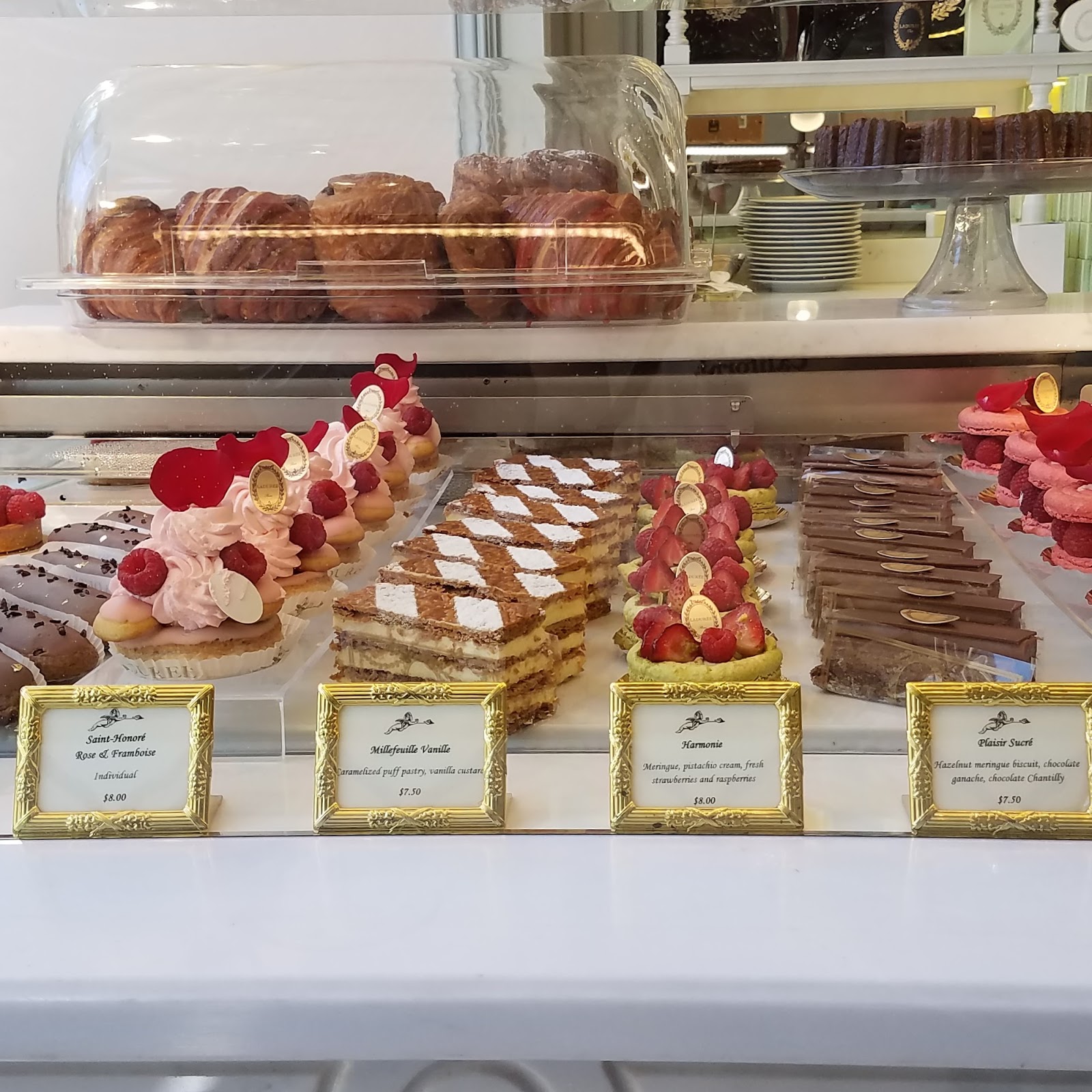 Roses Du Jardin Cheneland Hydrangea Paniculata Vanille Fraise