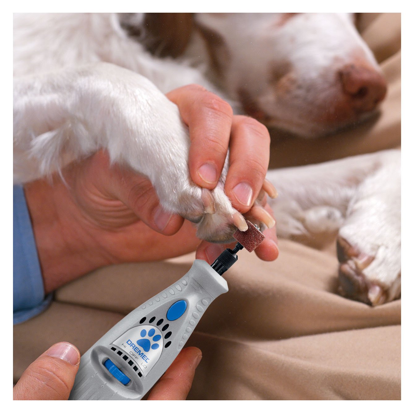 Best Dremel For Dog Nails