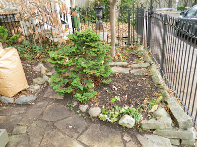 Cabbagetown Front Yard Fall Cleanup After by Paul Jung--a Toronto Organic Gardener Cabbagetown Front Yard Fall Cleanup After by Paul Jung--a Toronto Organic Gardener
