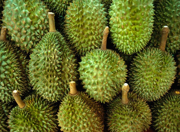 11 Amazing Benefits of Durian2