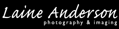 Laine Anderson Photography & Imaging