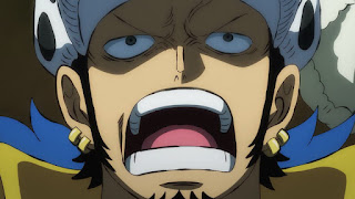 ワンピースアニメ 992話ワノ国編 | トラファルガー・ロー かっこいい | CV 神谷浩史 | ONE PIECE Trafalgar Law