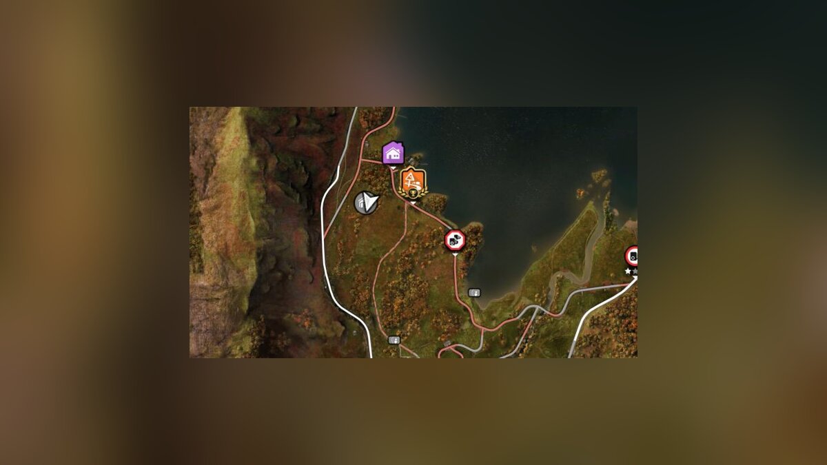 Карта раритетов в forza horizon 4