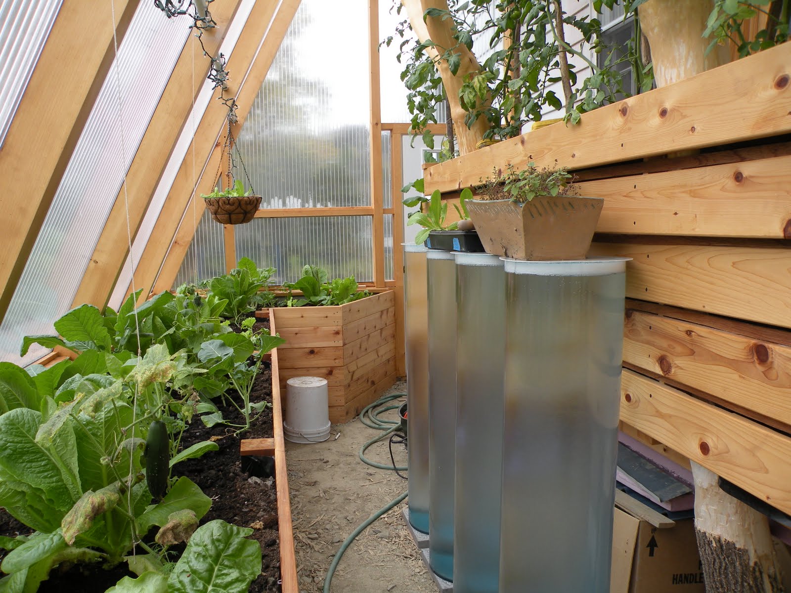 Natural Design Build Solar Greenhouse Update