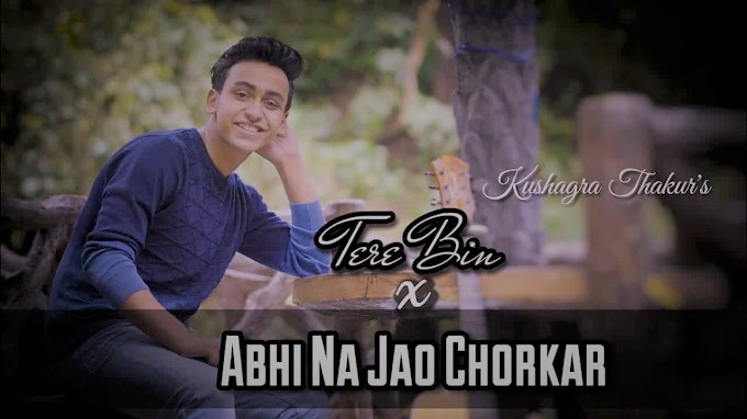 Tere Bin X Abhi Na Jao Chhod Kar Lyrics 2020 Kushagra tere bin x abhi na jao chhod kar lyrics