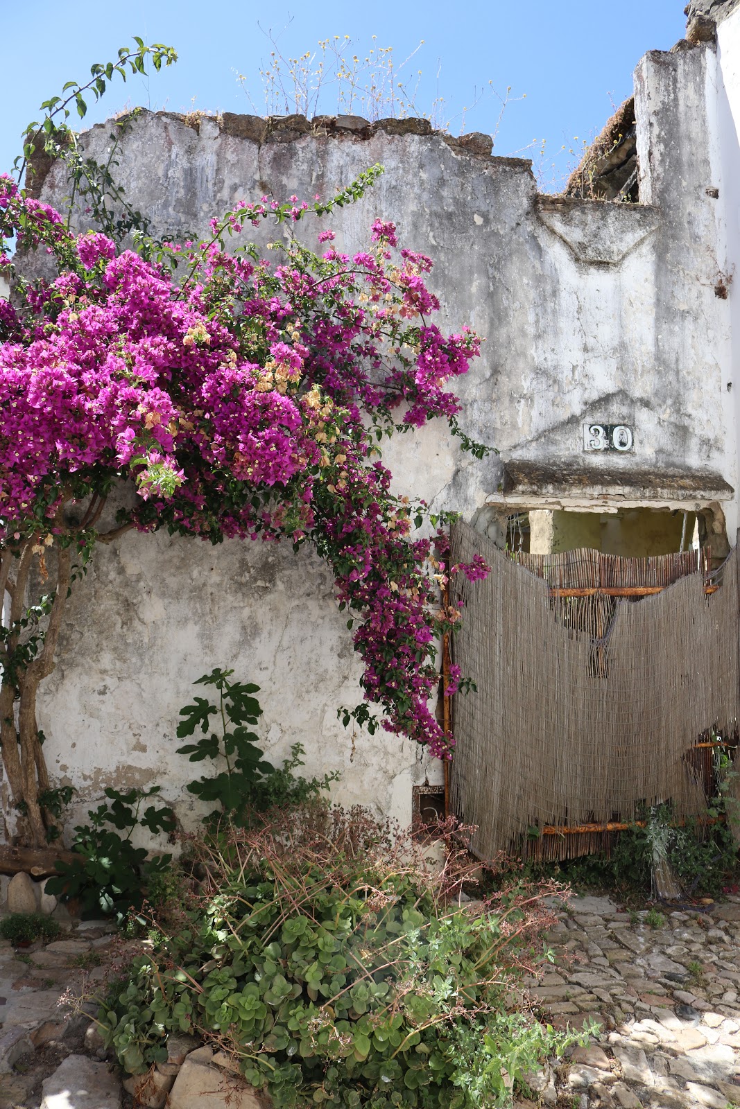 Pink flowers against white walls of Castillo de Castellar town