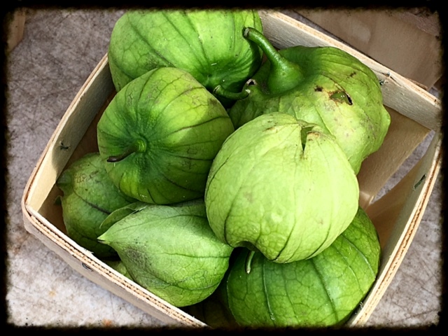 everyday sights: August 2016