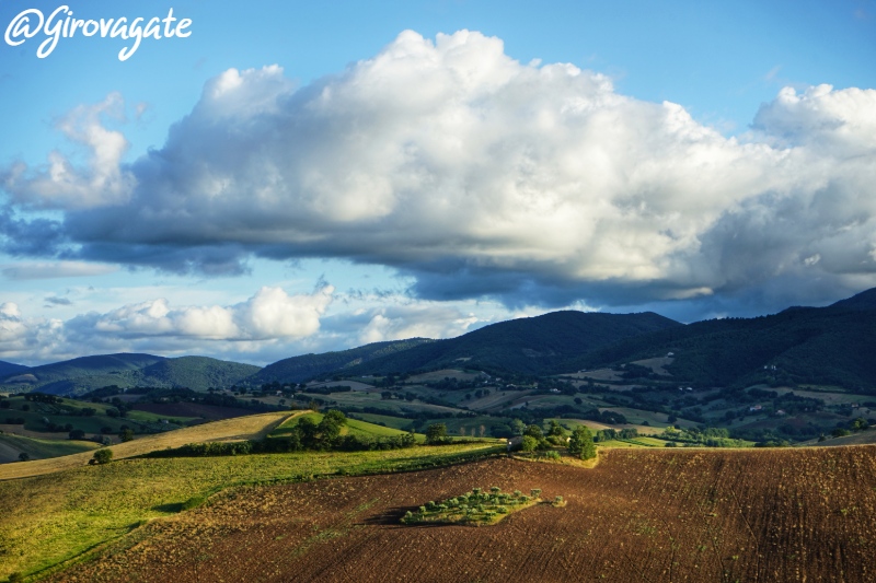 Loretello Arcevia panorama campagna marche