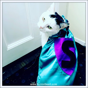 Dress My Pet Supurr Smooch ©BionicBasil® The Pet Parade 335