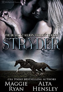 Stryder by Alta Hensley & Maggie Ryan