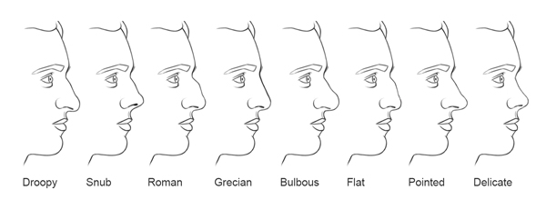 Nose Types Chart By Ethnicity