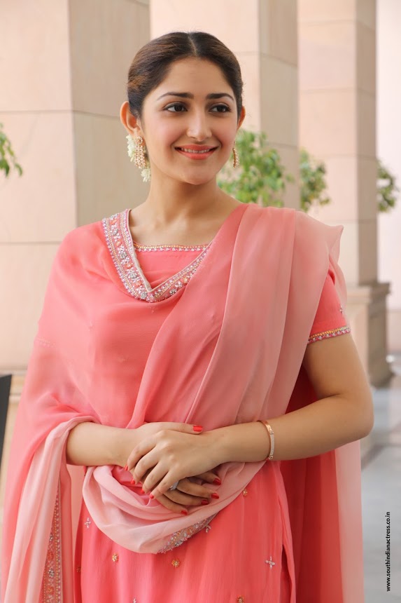 Sayyeshaa Saigal at Kadaikutty Singam Success Meet