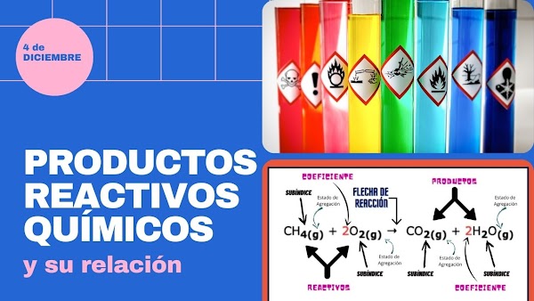 ▷ ¿Cuáles son las relaciones entre reactivos y productos?