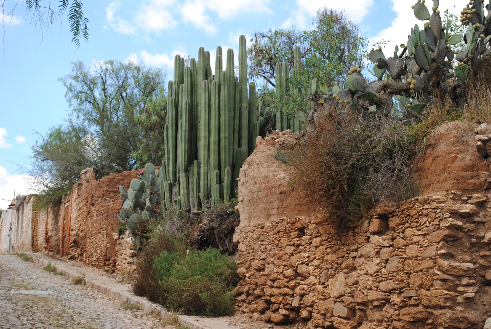The Cobblestone Diaries Buying Real Estate in Mexico...Our New Home in
