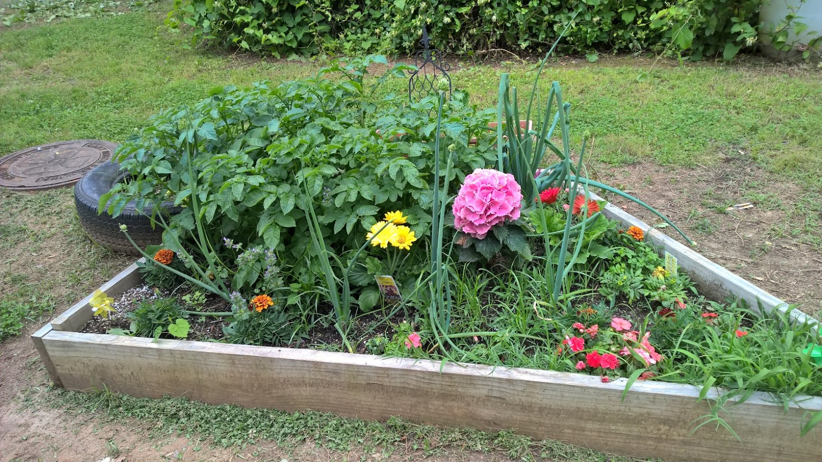 Your Garden May Be Pretty Ecologically