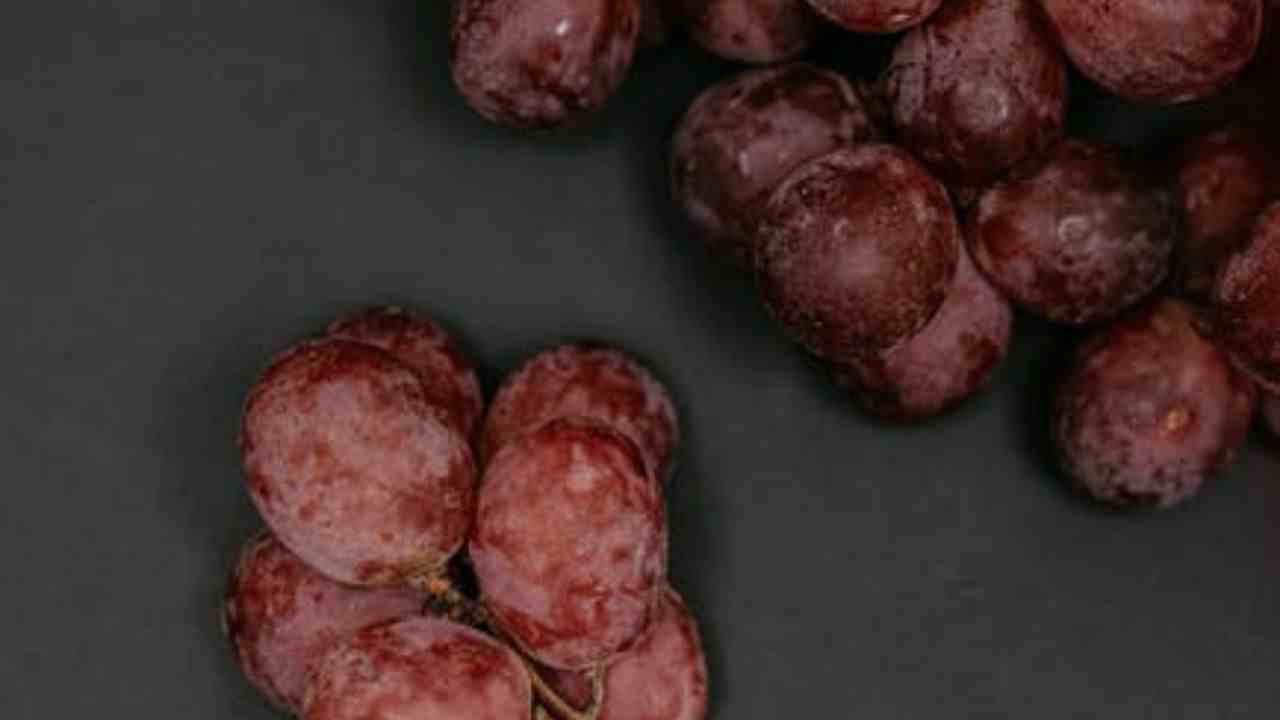 Frozen Grapes Frozen Grapes