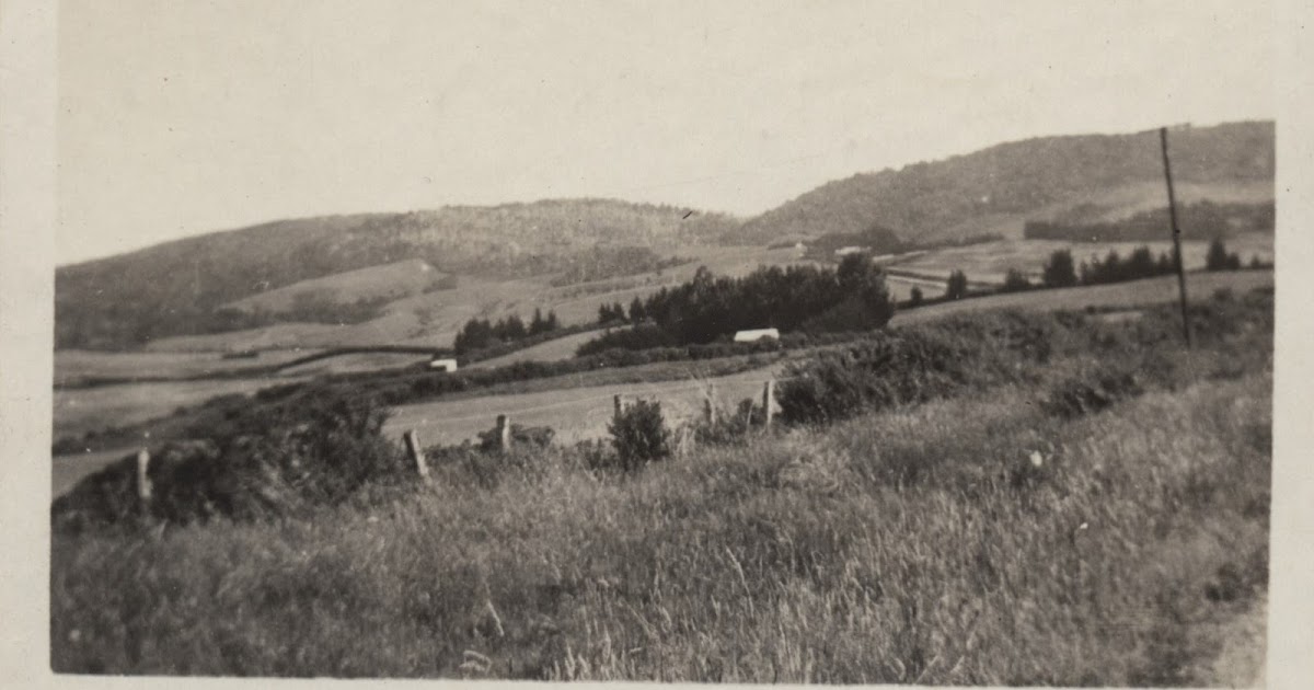 Celebrating the Collections & Archives of Otautau Museum