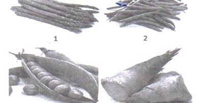 26 Tanaman Sayuran Yang Diambil Manfaatnya Pada Bagian Bunga Adalah Wortel Brokoli Singkong Asparagus Spesial
